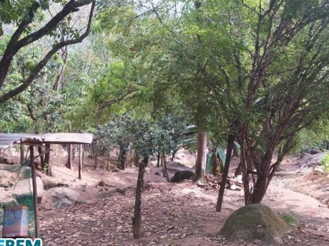 Sítio e chácara venda em Região Geográfica Imediata de Ipatinga, Região Metropolitana do Vale do Aço