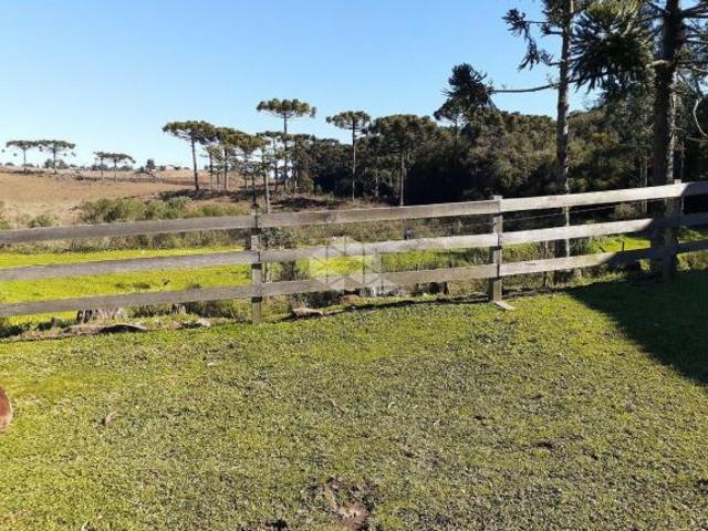 Sítio e chácara venda em Juá, São Francisco de Paula