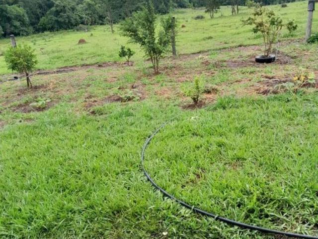 Sítio e chácara venda em Região Imediata de Itapetininga, Região Metropolitana de Sorocaba