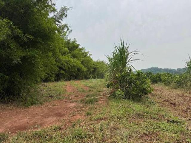 Sítio e chácara venda em Região Imediata de Campinas, Região Metropolitana de Campinas