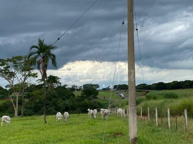 Sítio e chácara venda em Região Imediata de Santa Fé do Sul, Três Fronteiras