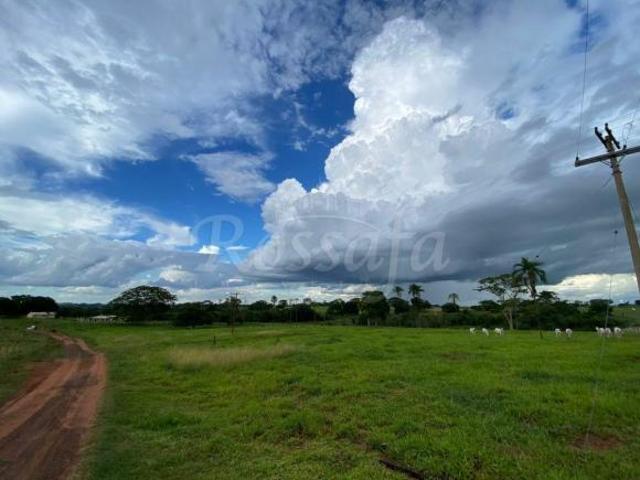 Sítio e chácara venda em Região Imediata de Santa Fé do Sul, Três Fronteiras