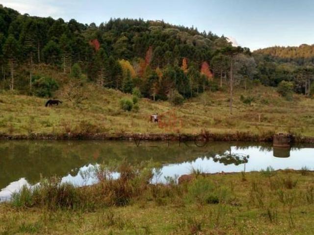 Sítio e chácara venda em Eletra, São Francisco de Paula