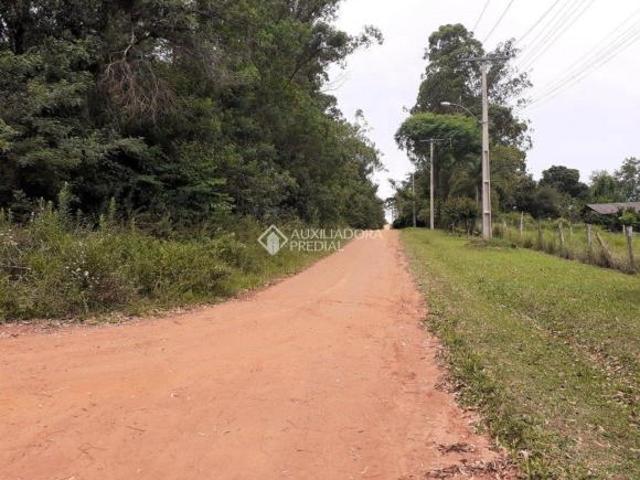 Sítio e chácara venda em Região Geográfica Imediata de Porto Alegre, Região Metropolitana de Porto Alegre