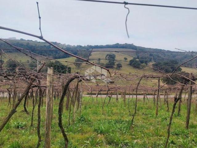 Sítio e chácara venda em Região Geográfica Imediata de Goiás - Itapuranga, Nova Crixás
