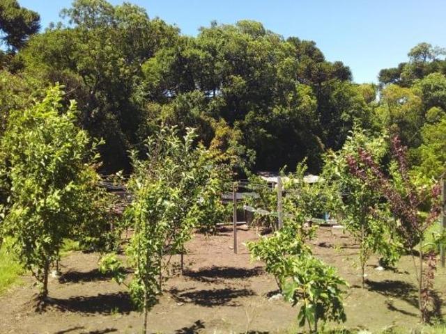 Sítio e chácara venda em Juá, São Francisco de Paula
