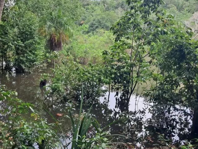 Fazenda venda em Região Geográfica Imediata de Manaus, Caapiranga