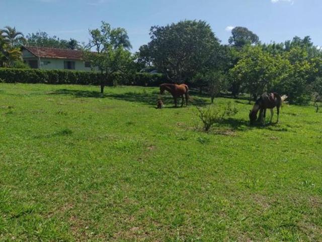 Sítio e chácara venda em Região Imediata de Itapetininga, Região Metropolitana de Sorocaba
