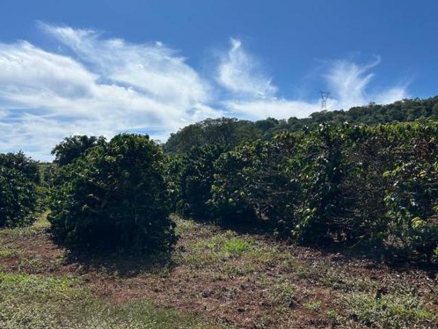 Sítio e chácara venda em Franca