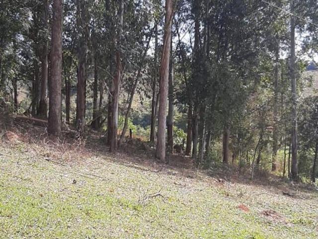 Sítio e chácara venda em Região Geográfica Imediata de Varginha, São Gonçalo do Sapucaí