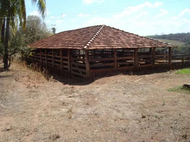 Fazenda venda em Região Imediata de São José do Rio Preto, Região Metropolitana de São José do Rio Preto