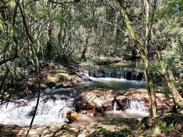 Sítio e chácara venda em Região Geográfica Imediata de Bento Gonçalves, Bento Gonçalves