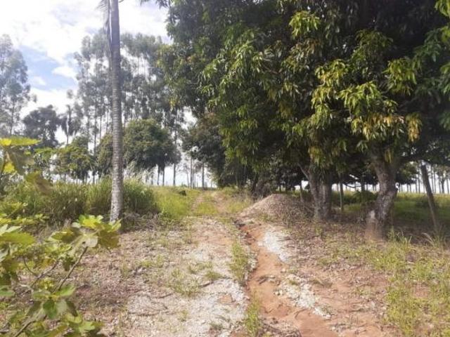 Sítio e chácara venda em Região Imediata de Mogi Guaçu, Mogi Guaçu
