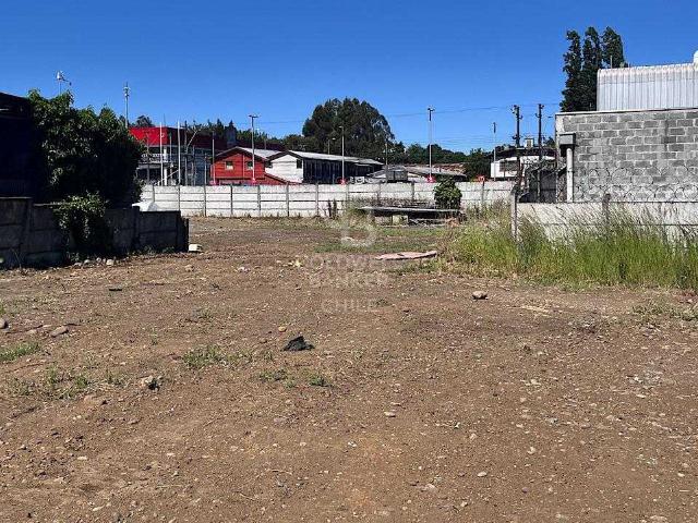 Terreno en arriendo en Los Ríos