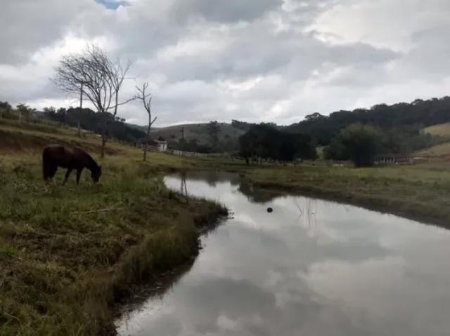 Fazenda venda em Região Imediata de Taubaté-Pindamonhangaba, Região Metropolitana do Vale do Paraíba e Litoral Norte