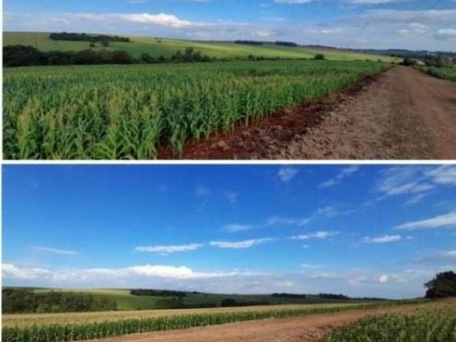 Sítio e chácara venda em Região Geográfica Imediata do Recife, Região Metropolitana do Recife