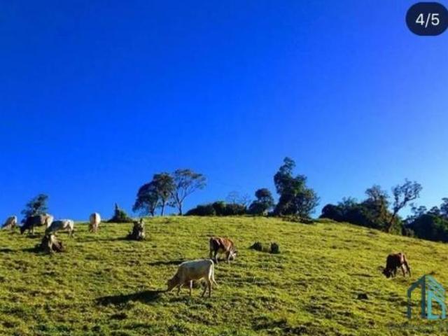 Sítio e chácara venda em Região Geográfica Imediata de Telêmaco Borba, Ortigueira