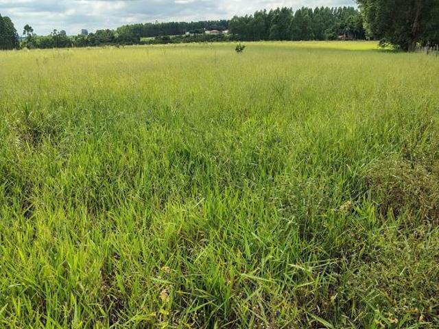 Sítio e chácara venda em Região Imediata de Ribeirão Preto, Região Metropolitana de Ribeirão Preto