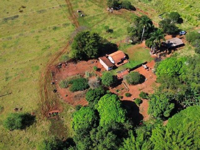 Sítio e chácara venda em Região Imediata de Ribeirão Preto, Região Metropolitana de Ribeirão Preto