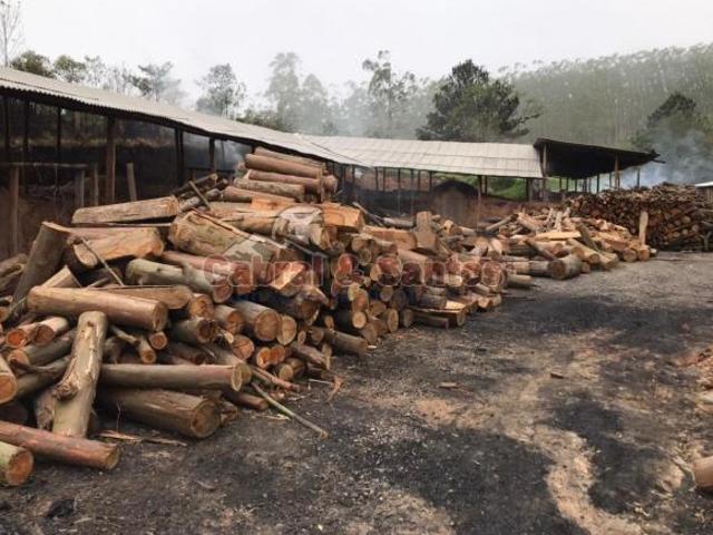 Sitio venda em Pilar do Sul, Campo Grande