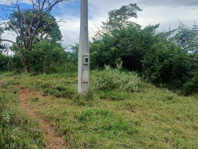 Sítio e chácara venda em Região Imediata de Ribeirão Preto, Região Metropolitana de Ribeirão Preto