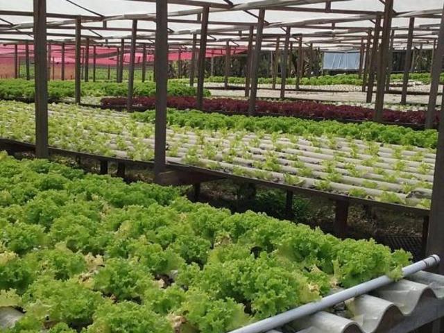 Sítio e chácara venda em Região Imediata de São Paulo, Região Metropolitana de São Paulo