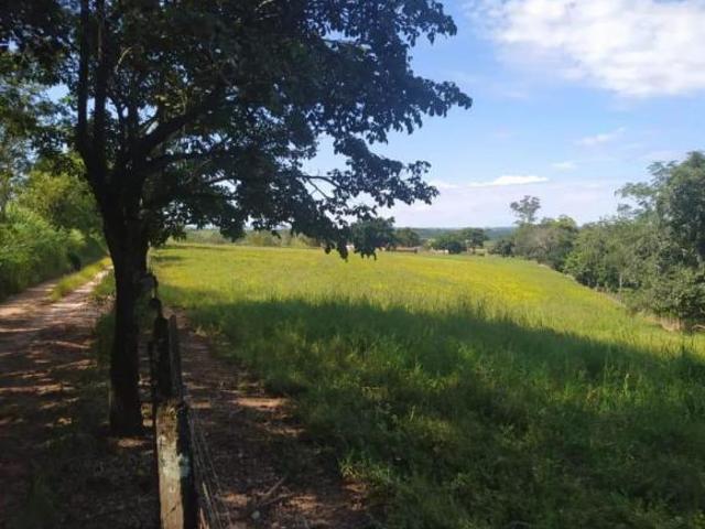 Sítio e chácara venda em Região Imediata de São José do Rio Pardo-Mococa, Região Metropolitana de Ribeirão Preto