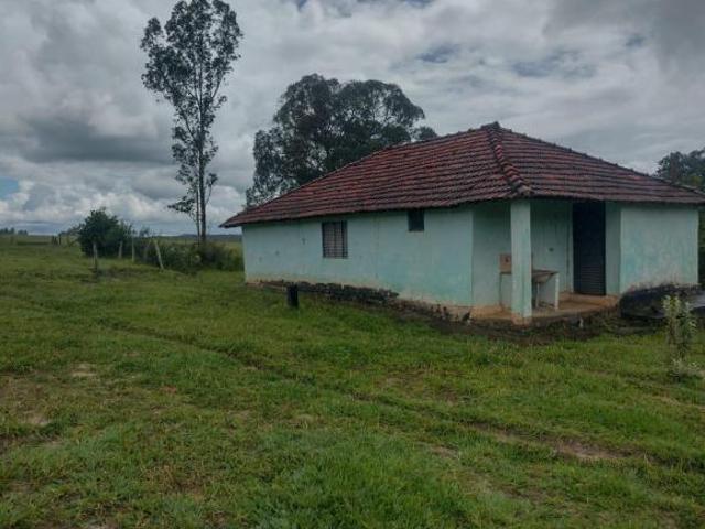 Sítio e chácara venda em Região Imediata de Ribeirão Preto, Região Metropolitana de Ribeirão Preto
