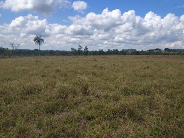 Sítio e chácara venda em Cássia dos Coqueiros, Região Geográfica Intermediária de Ribeirão Preto