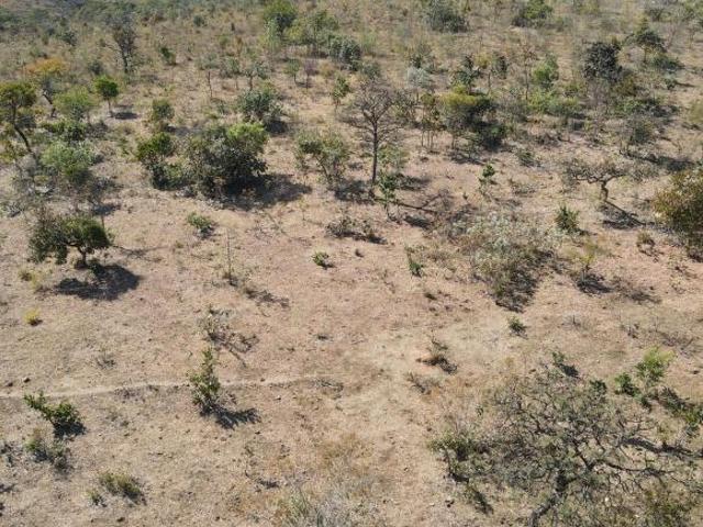 Sítio e chácara venda em Região Geográfica Imediata de Patrocínio, Coromandel