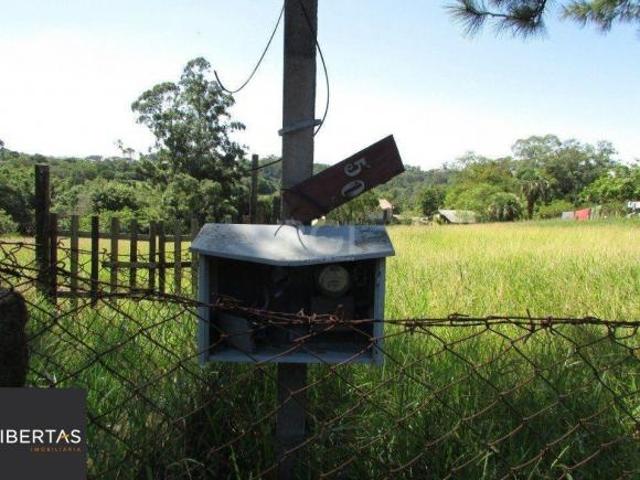Sítio e chácara venda em Martinica, Viamão