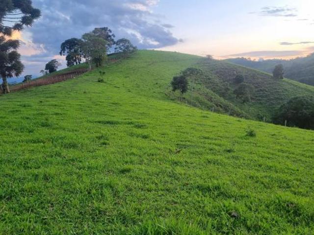 Sítio e chácara venda em Região Geográfica Imediata de Pouso Alegre, Bom Repouso