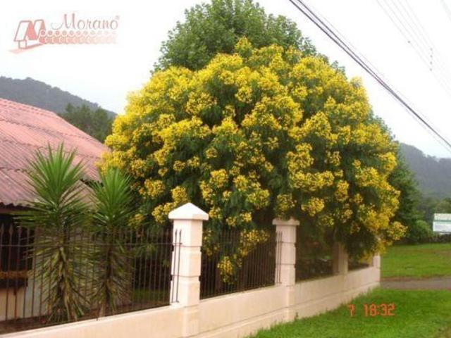 Sítio e chácara venda em Região Geográfica Imediata de Caxias do Sul, Nova Petrópolis