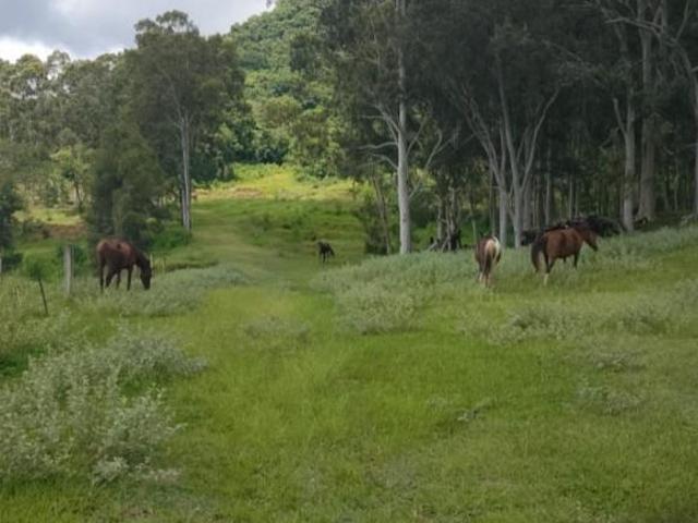 Sítio e chácara venda em Região Imediata de Piracicaba, Região Metropolitana de Piracicaba