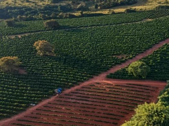 Sítio e chácara venda em Região Geográfica Imediata de Alfenas, Alfenas