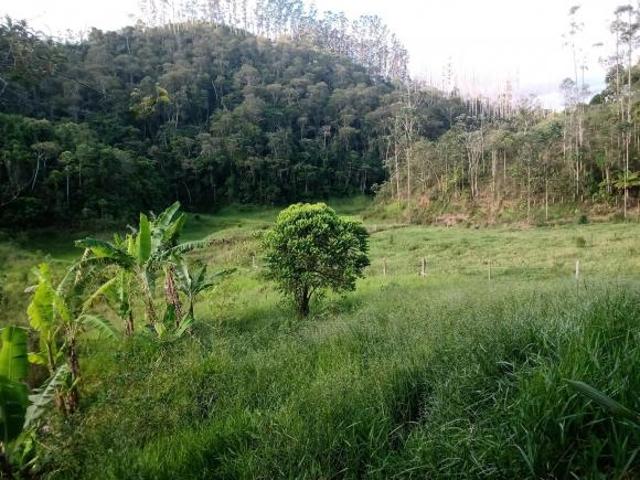 Sítio e chácara venda em Vila Veneziani, São José dos Campos