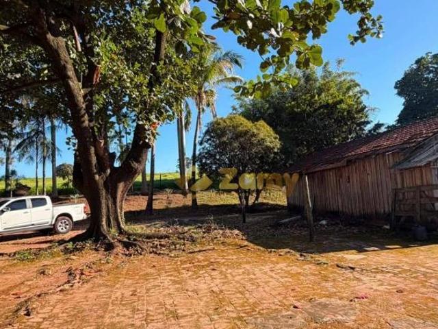 Sítio e chácara venda em Região Geográfica Imediata de Paranavaí, Alto Paraná