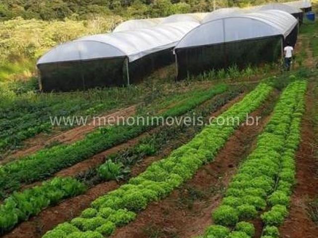 Sítio e chácara venda em Região Imediata de Amparo, Amparo