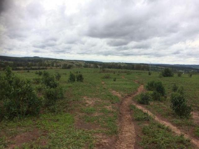 Sítio e chácara venda em Angatuba