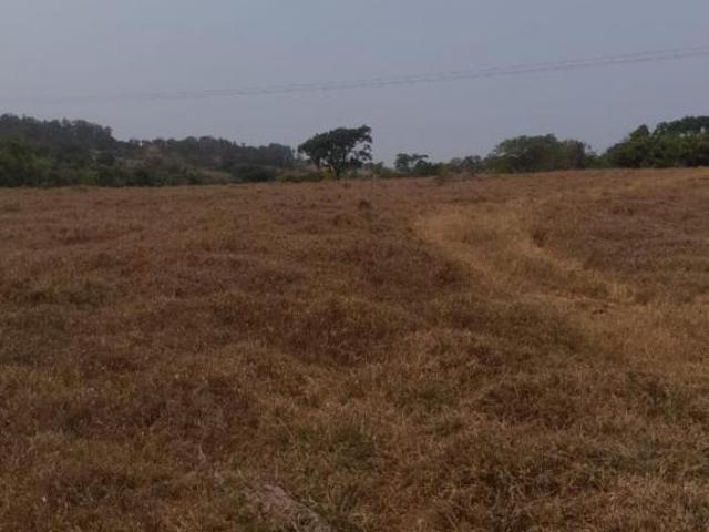 Sítio e chácara venda em Região Geográfica Imediata de Guaxupé, Arceburgo