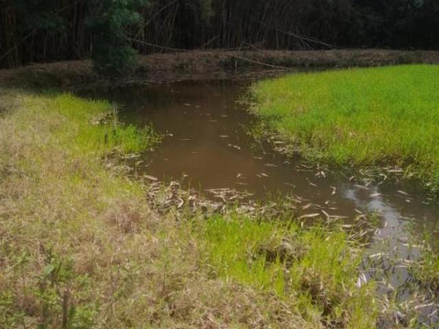 Sítio e chácara venda em Arceburgo, Região Geográfica Intermediária de Varginha