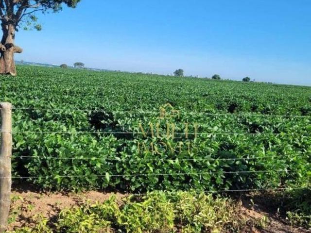 Sítio e chácara venda em Região Imediata de Araçatuba, Araçatuba