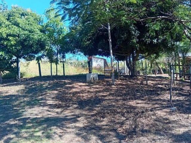 Sítio e chácara venda em Centro, Araguari