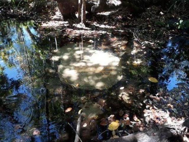 Sítio e chácara venda em Jóquei Clube, Araguari