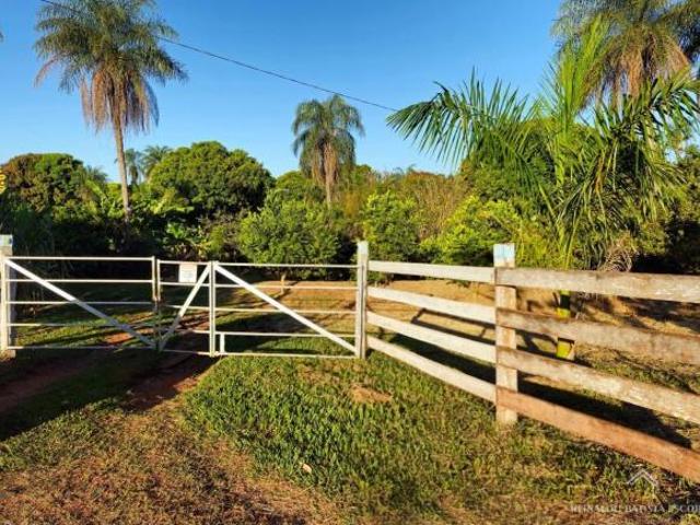 Sítio e chácara venda em Região Geográfica Imediata de Campo Grande, Campo Grande