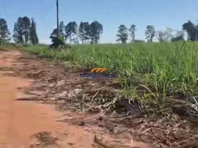 Sítio e chácara venda em Casa Branca