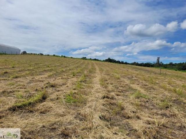 Sítio e chácara venda em Região Imediata de Campinas, Região Metropolitana de Campinas