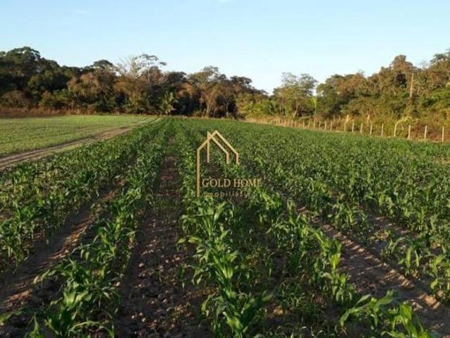 Sítio e chácara venda em Região Geográfica Imediata de Cuiabá, Região Metropolitana do Vale do Rio Cuiabá