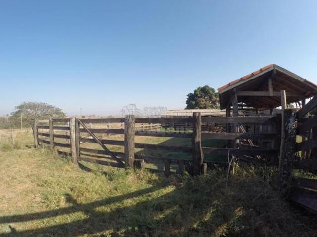 Sítio e chácara venda em Região Imediata de Fernandópolis, Fernandópolis