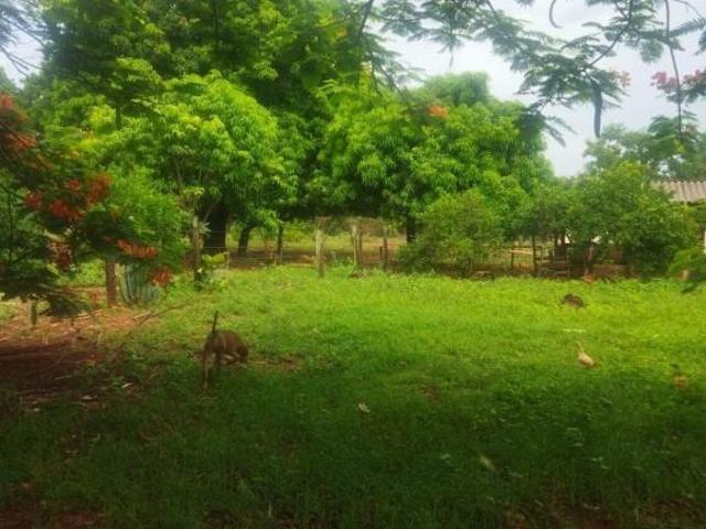 Sítio e chácara venda em Frutal, Região Geográfica Intermediária de Uberaba